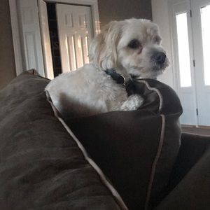 Meet your Posher, Laura